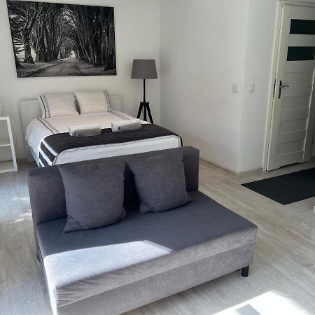 شقة كراكوفيا  في Visitcracow Apartament المظهر الخارجي الصورة